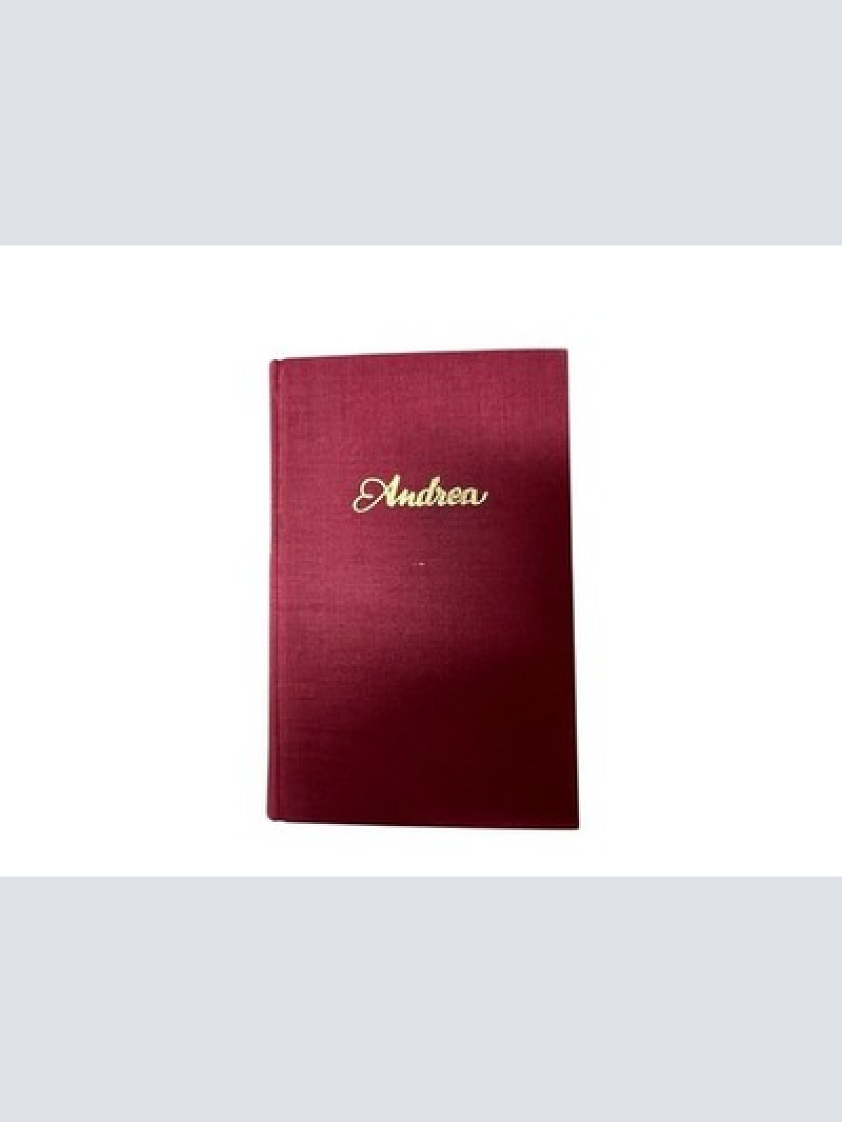 Andrea und die rote Nacht Merlin, Gilbert.: