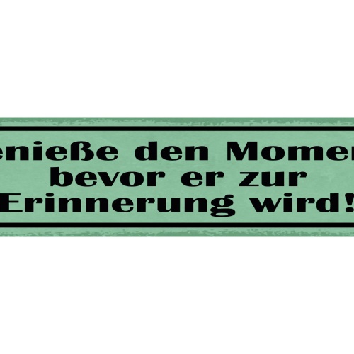 Schild Genieße Den Moment Bevor Er Zur Erinnerung Wird 46 x 10 Blech od. Holz