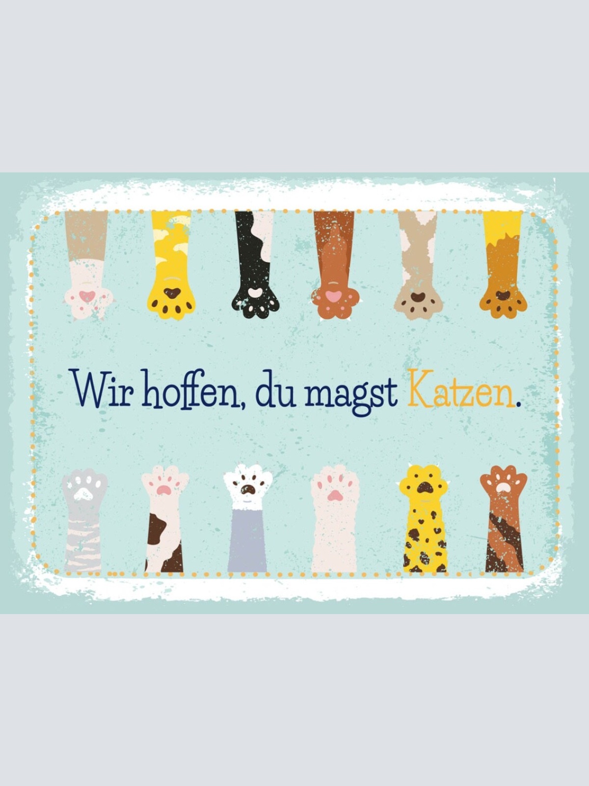 Schild Wir Hoffen Du Magst Katzen Katze Haus Tier 12x18 20x30 30x40 Blech/Holz
