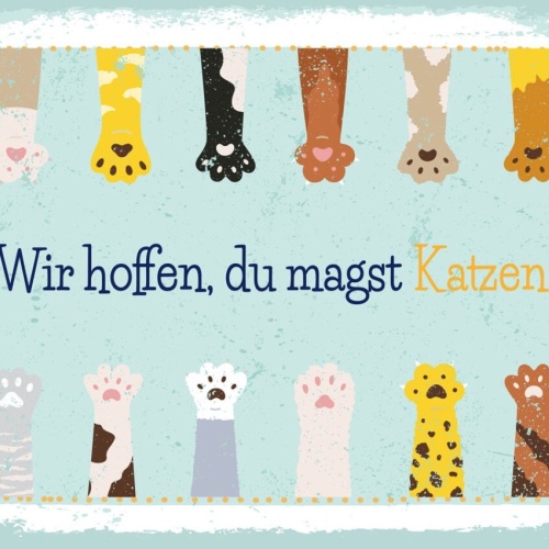 Schild Wir Hoffen Du Magst Katzen Katze Haus Tier 12x18 20x30 30x40 Blech/Holz