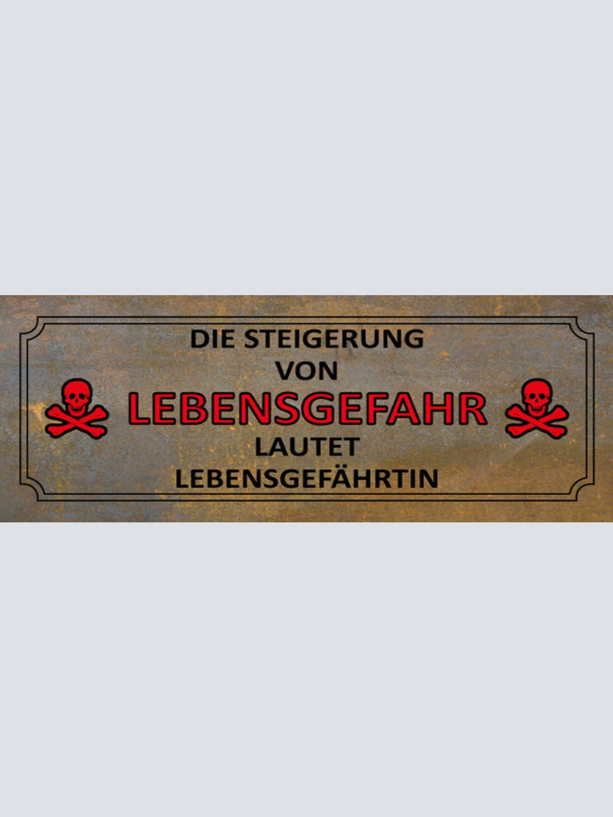 Schild Die Steigerung Von Lebensgefahr Lautet Lebensgefährtin Ehe Liebe 27x10