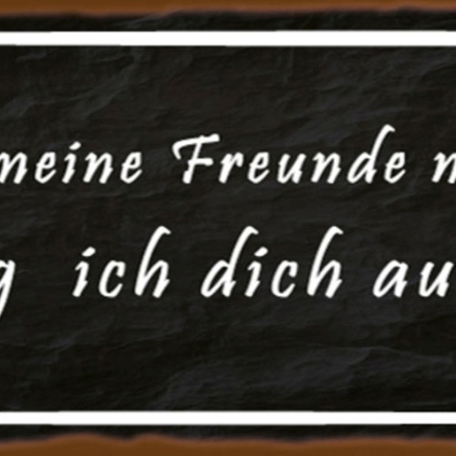 Schild Wenn Du Meine Freunde Nicht Magst Dann Mag Ich Dich Auch Nicht 27x10