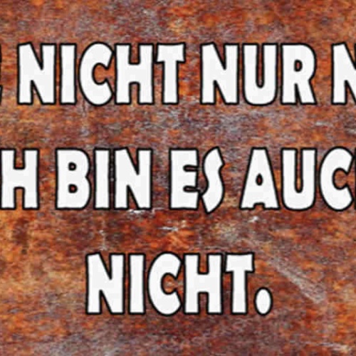 Schild Ich Sehe Nicht Nur Nett Aus Ich Bin Es Auch Nicht 27 x 10 Blech od. Holz