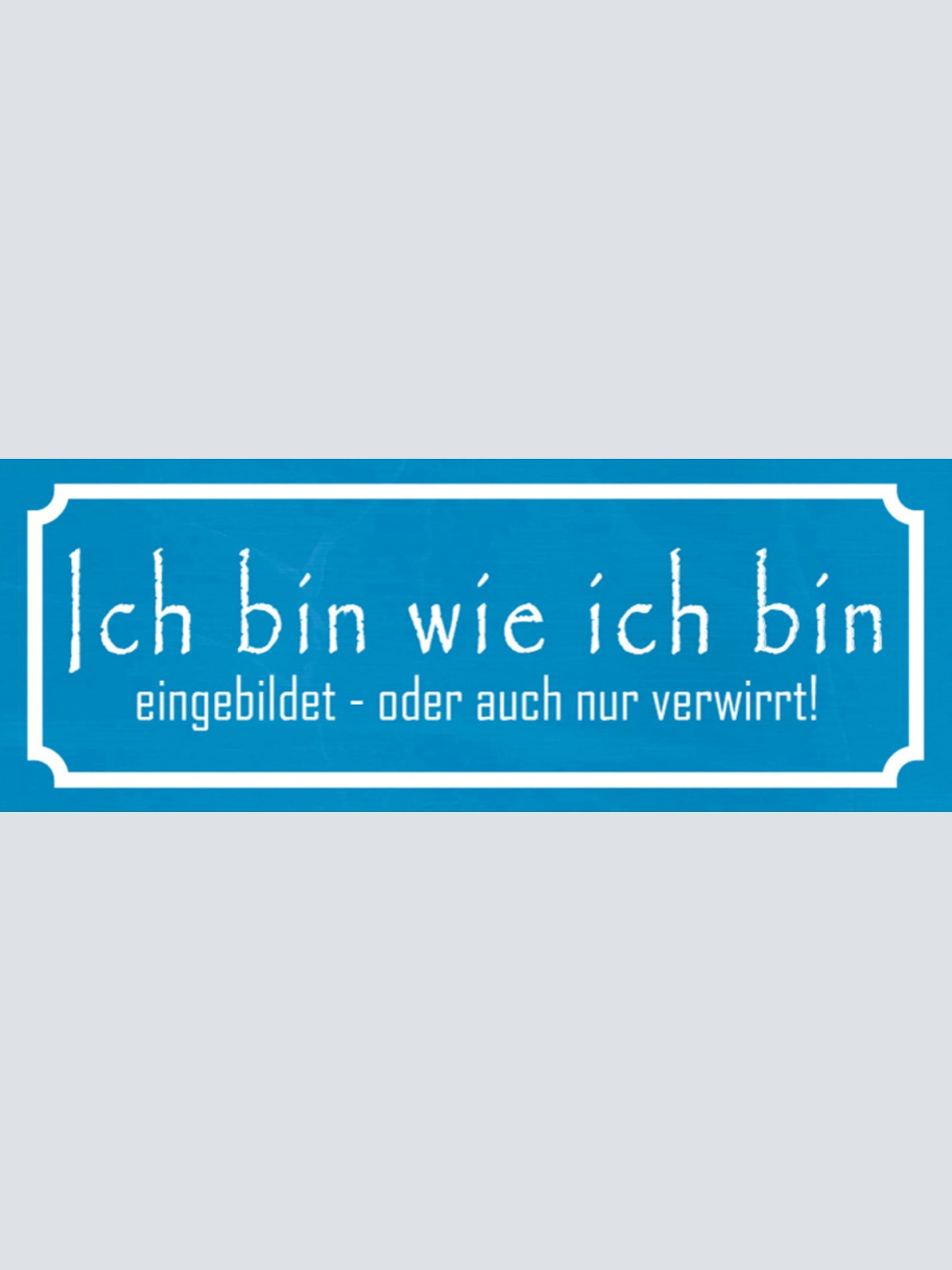 Schild Ich Bin Wie Ich Bin Eingebildet Od. Auch Nur Verwirrt 27x10 Blech od.Holz