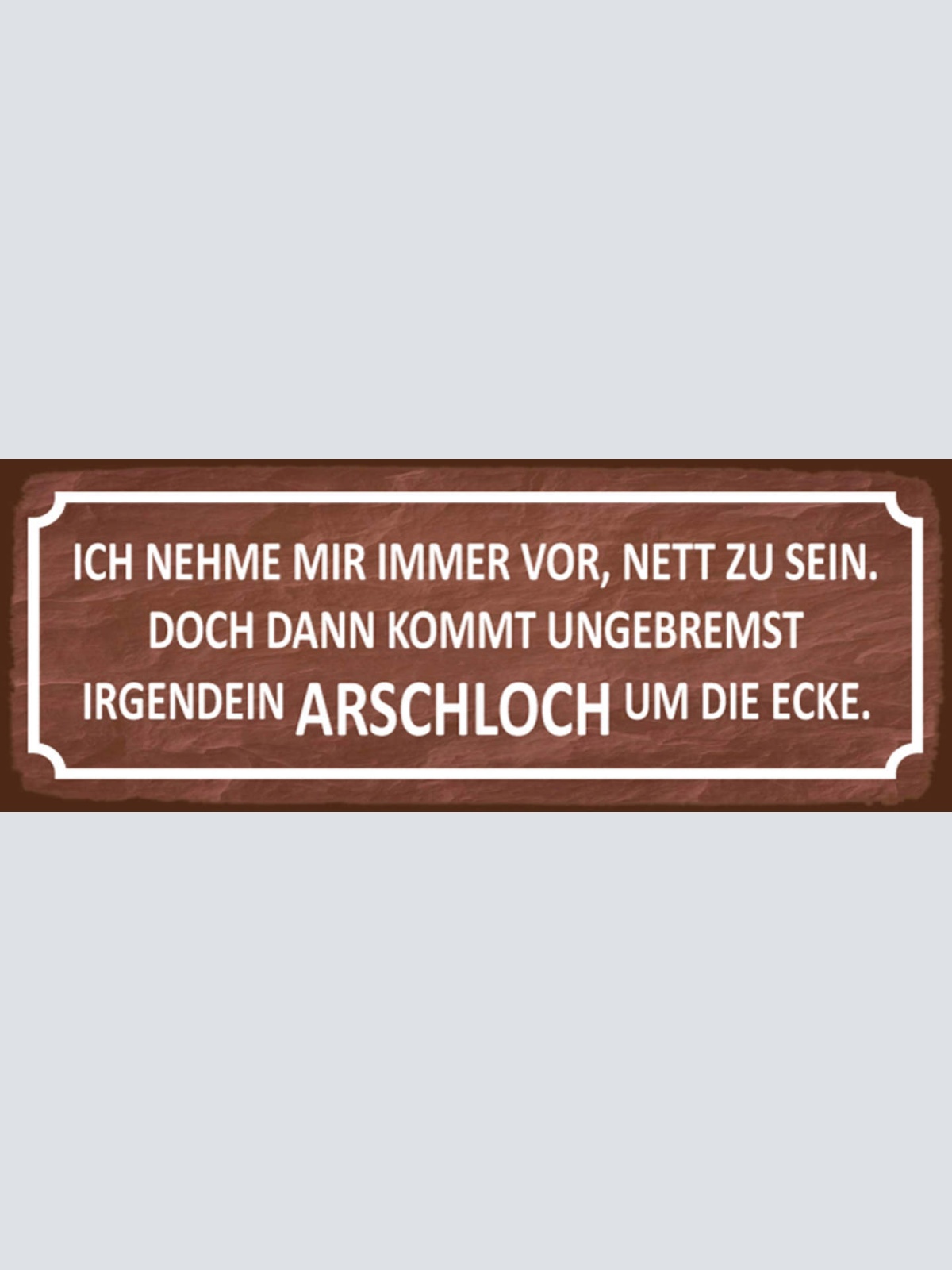 Schild Ich Nehme Mir Immer Vor Nett Zu Sein Ungebremst Irgendein Arschloch Ecke