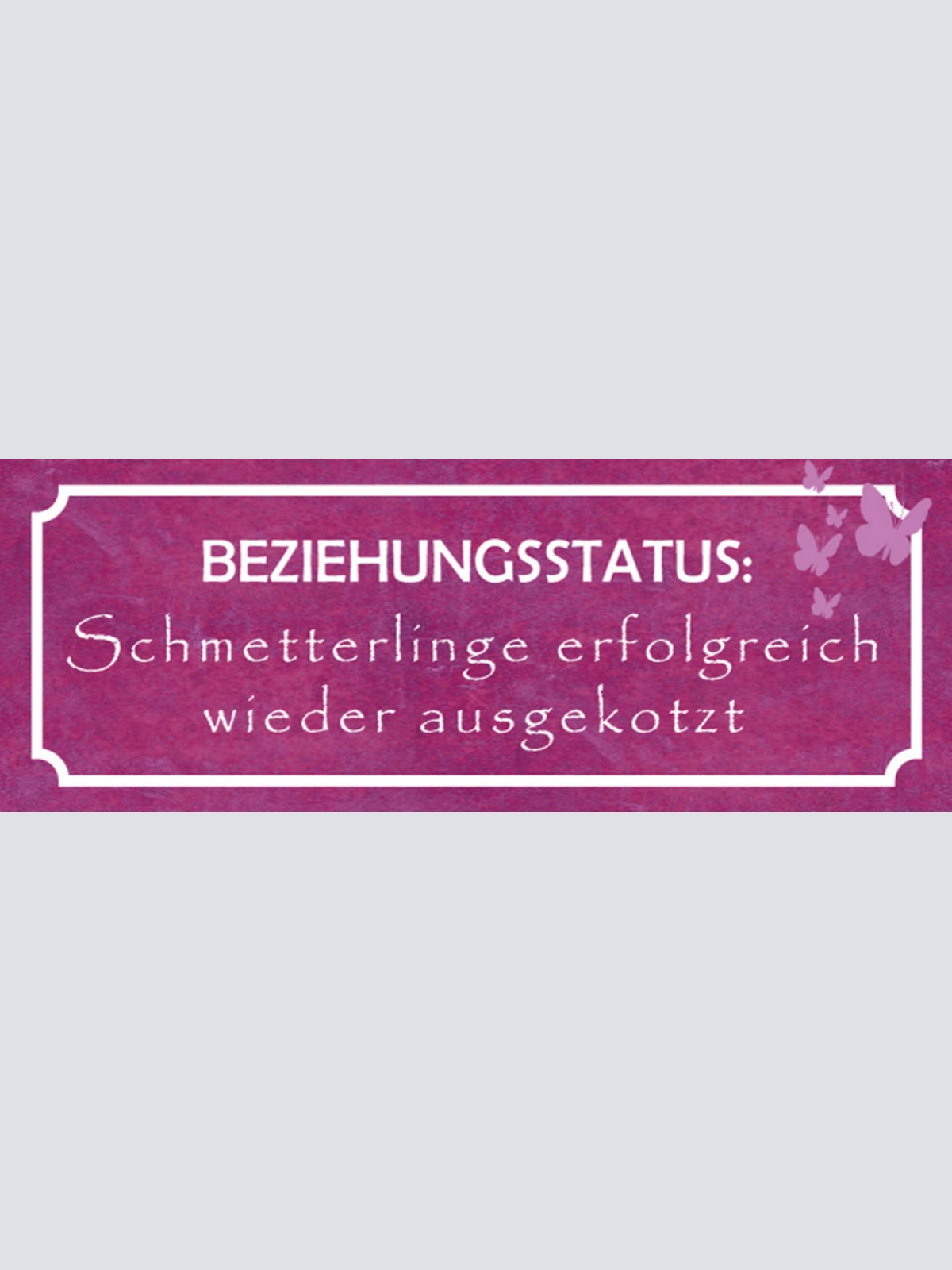 Schild Beziehungsstatus Schmetterlinge Erfolgreich Wieder Ausgekotzt 27x10
