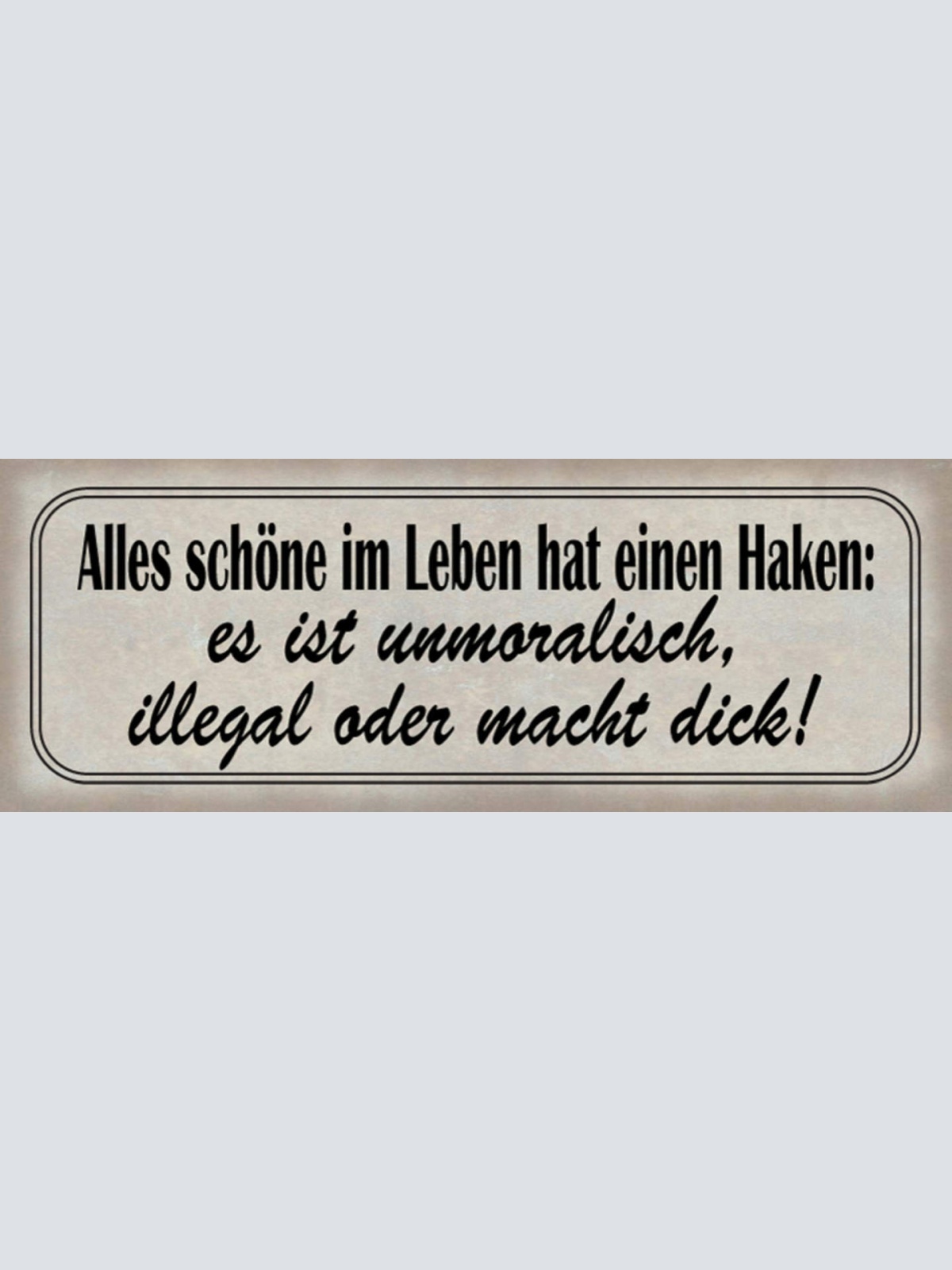 Schild Alles Schöne Leben Hat Einen Haken Unmoralisch Illegal Macht Dick 27x10