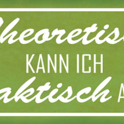 Schild Theoretisch Kann Ich Praktisch Alles Fähigkeiten 27x10 Blech od.Holz