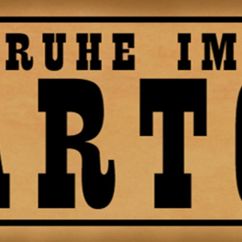 Schild Ruhe Im Karton Ruhig Still Stein Mund Halten  27 x 10 Blech od. Holz