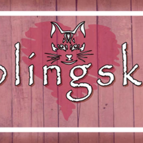 Schild Lieblingskatze Katze Haus Tier Liebe Katzen Narr 27 x 10 Blech od. Holz