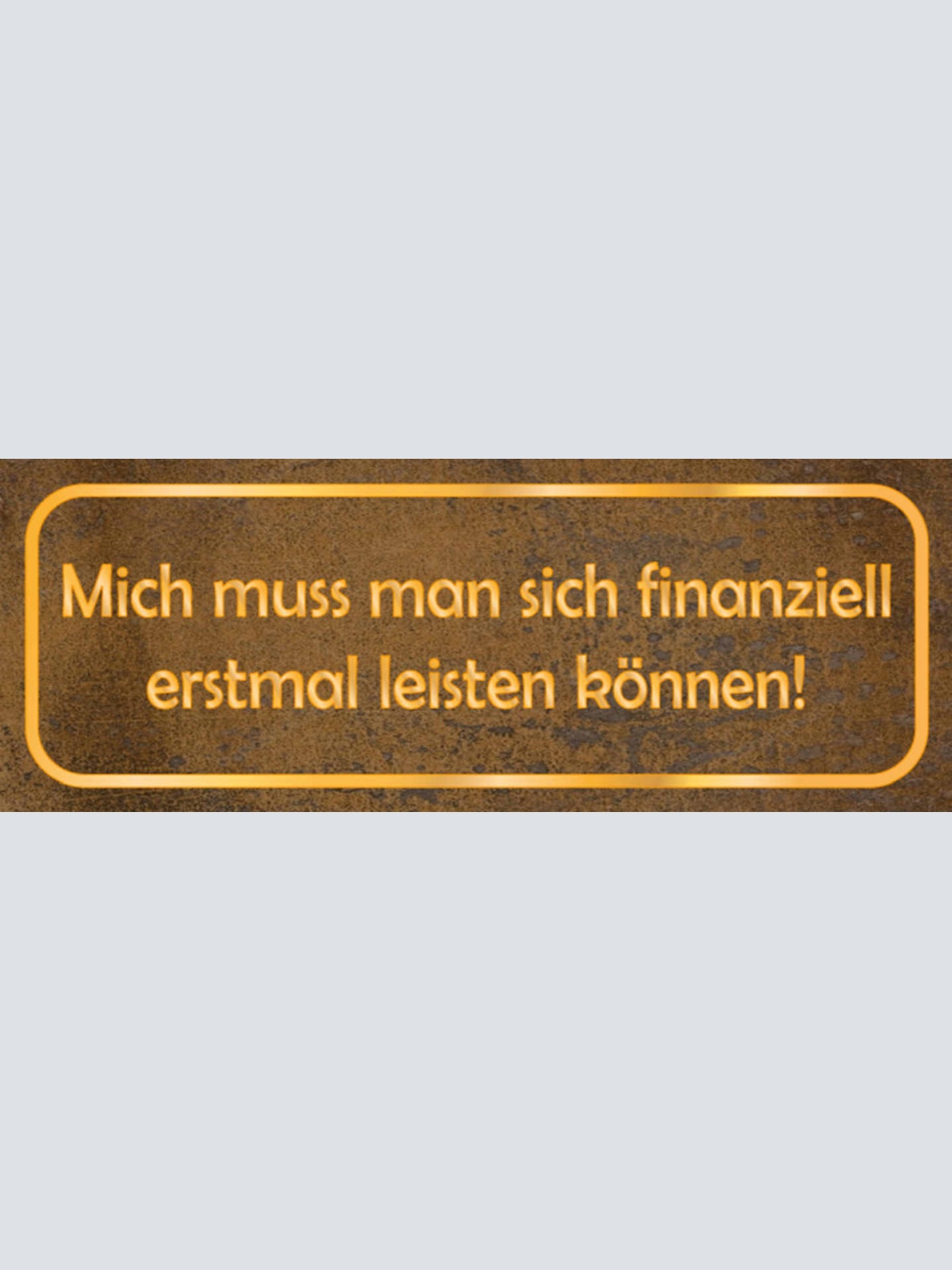Schild Mich Muss Man Sich Finanziell Erstmal Leisten Können 27x10 Blech od.Holz