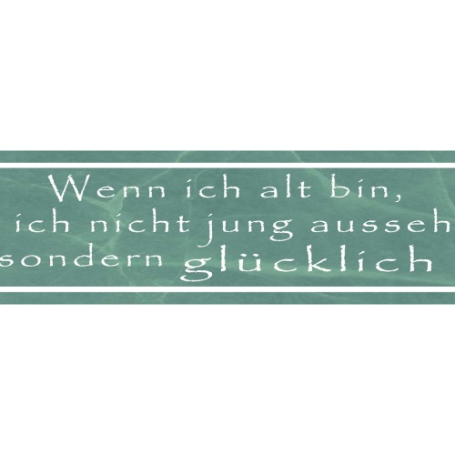 Schild Alt Alter Jung Aussehen Glücklich Glück Leben 46 x 10 Blech od. Holz