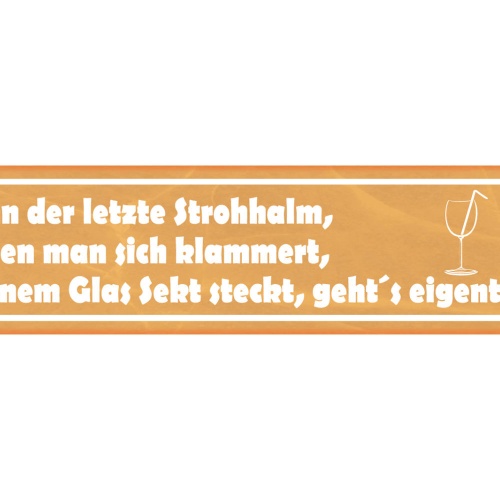 Schild Letzter Strohhalm Klammern Glas Sekt Alkohol Bar 46 x 10 Blech od. Holz