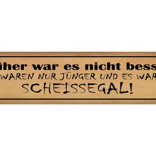 Schild Früher Nicht Besser Jünger Jung Jugend Scheissegal 46 x 10 Blech od. Holz