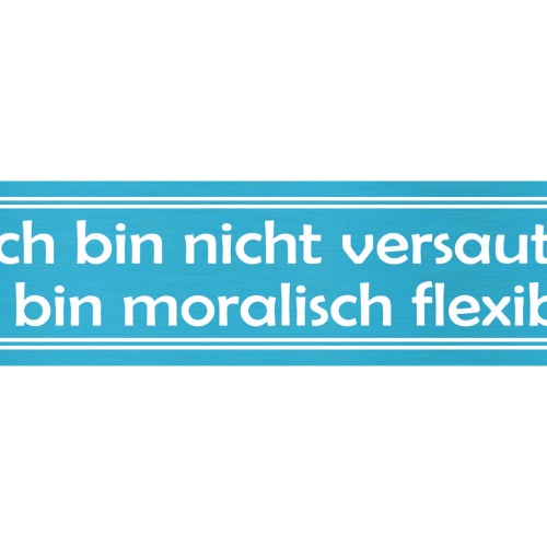Schild Nicht Versaut Moral Unmoralisch Dreckig Schweinisch 46 x 10 Blech od.Holz