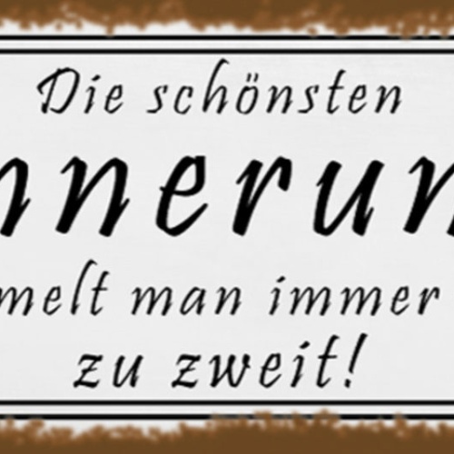 Schild Die Schönsten Erinnerungen Sammelt Man Immer Zu Zweit 27x10 Blech od.Holz