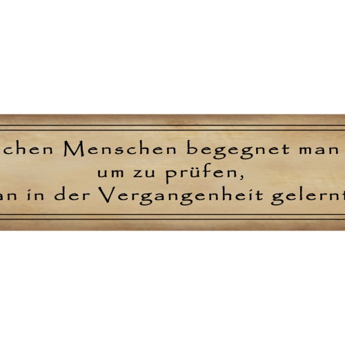 Schild Menschen Begegnung Vergangenheit Leben Lernen Test 46 x 10 Blech od. Holz