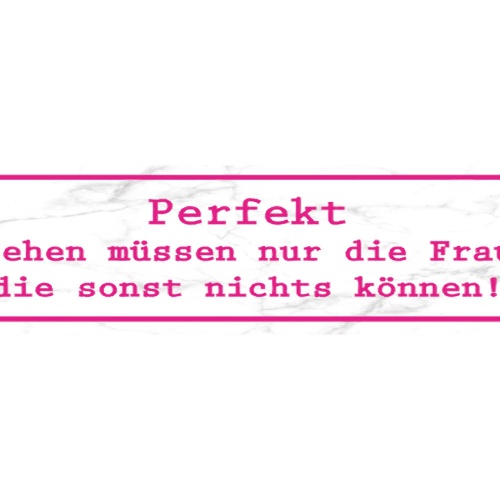 Schild Perfekt Aussehen Schönhheit Können Fehler Talent 46 x 10 Blech od. Holz