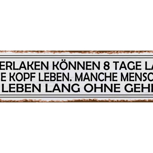 Schild Kakerlaken Kopf Menschein Kein Gehirn Dumm Blöd 46 x 10 Blech od. Holz