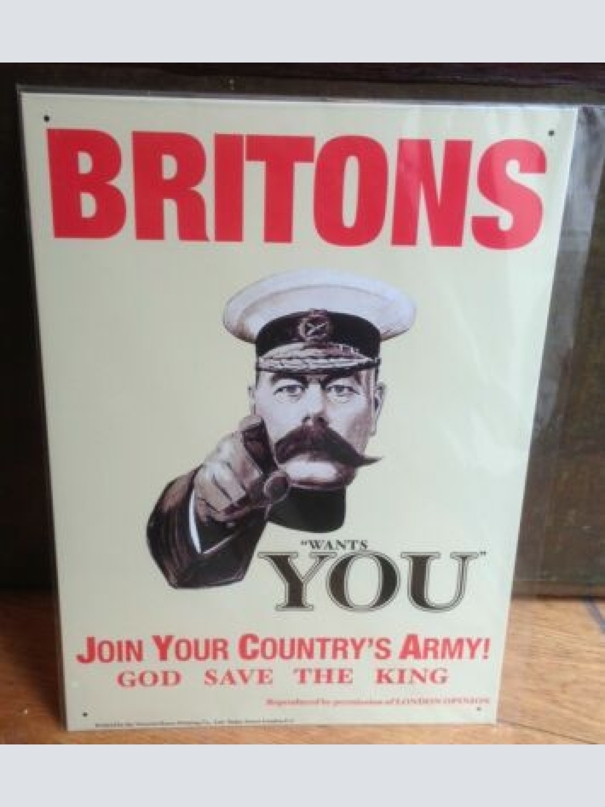 Britons wants You  30x41 cm     11993