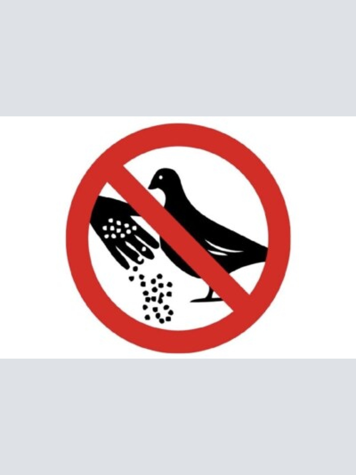 Schild  füttern verboten tauben vögel 12x18/20x30/30x40 blech oder holz