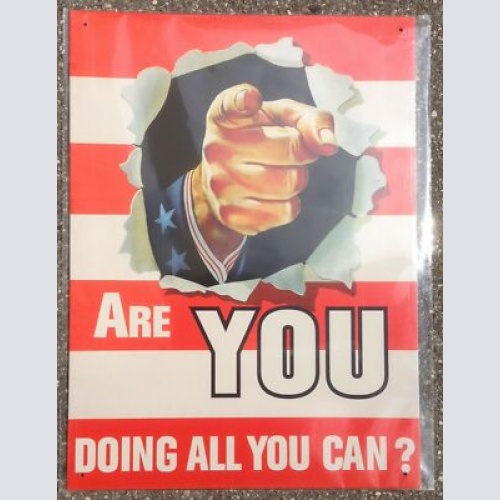 Are you doing all you can     30x41 cm     12006