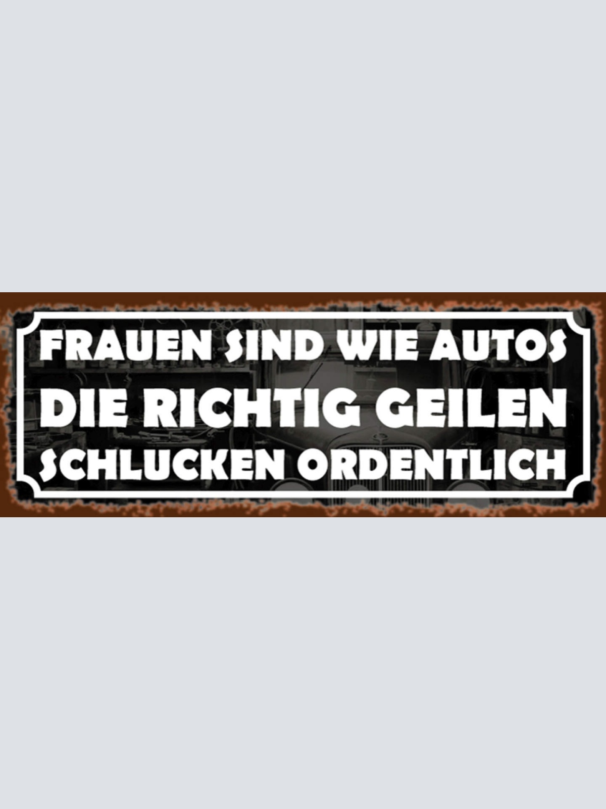 Schild Frauen Sind Wie Autos Die Richtig Geilen Schlucken Ordentlich 27x10