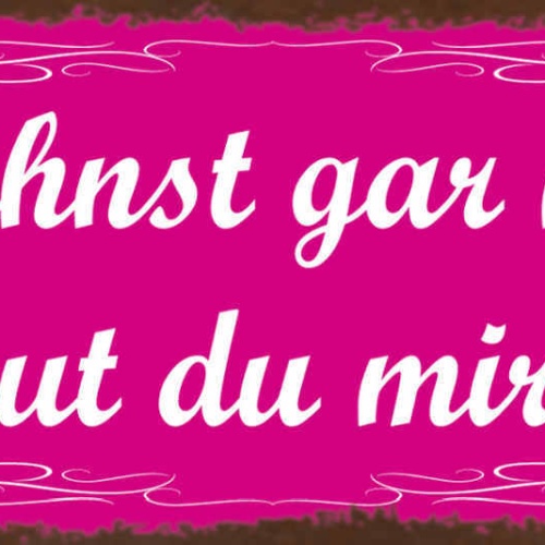 Schild Du Ahnst Gar Nicht Wie Gut Du Mir Tust Liebe Paar 27x10 Blech od.Holz