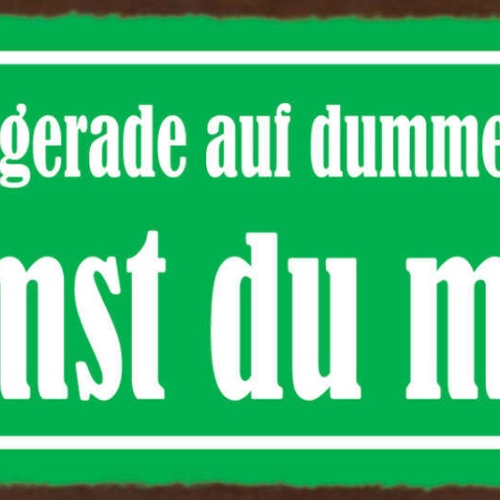 Schild Ich Komme Gerade Auf Dumme Gedanken Kommst Du Mit 27x10 Blech od.Holz