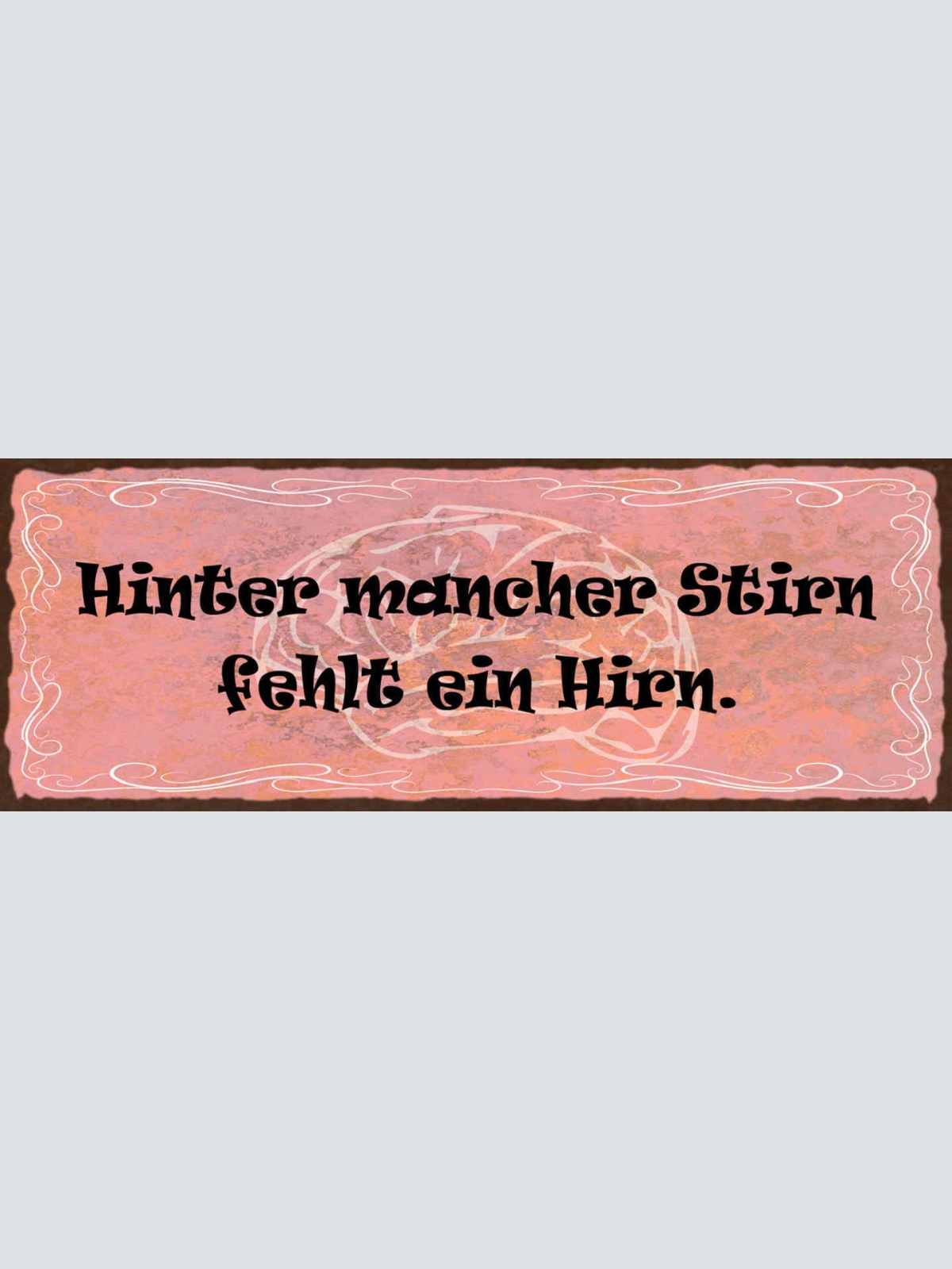 Schild Hinter Mancher Stirn Fehlt Ein Hirn Gehirn Dumm 27x10 Blech od.Holz