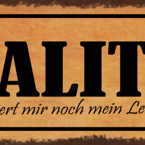 Schild Realität Ruiniert Mir Noch Mein Leben Plan Ziel 27x10 Blech od.Holz