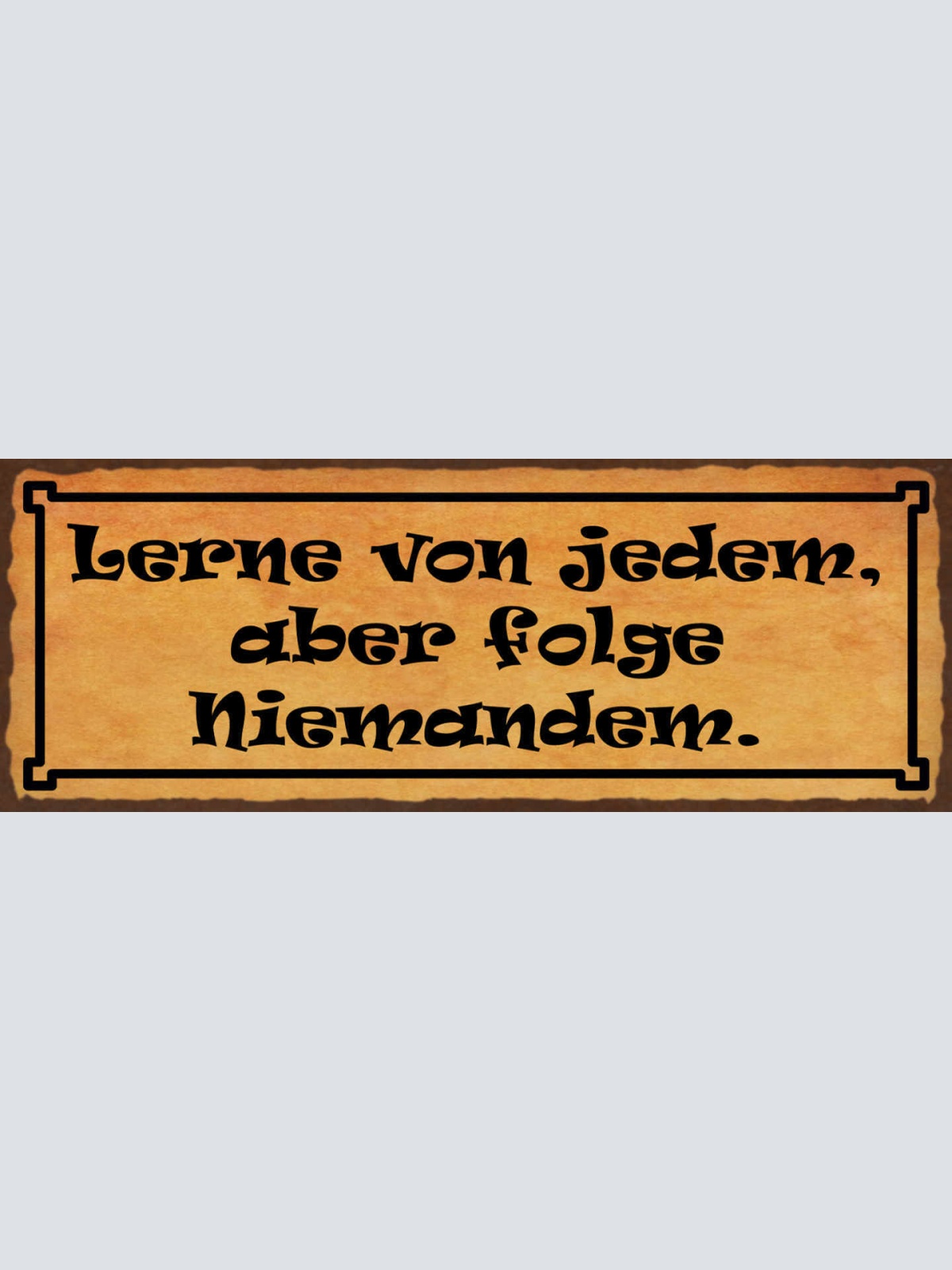 Schild Lerne Von Jedem Aber Folge Niemanden 27x10 Blech od.Holz