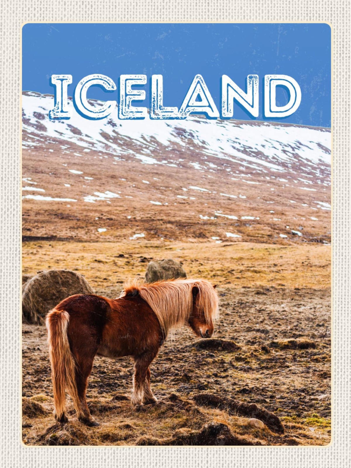 Schild Iceland Island Pferd Pony Isländer 12x18 20x30 30x40 Blech od. Holz