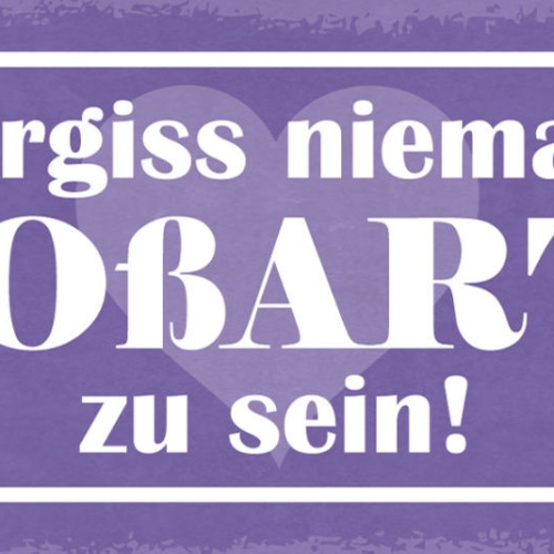 Schild Vergiss Niemals Großartig Zu Sein Leben Liebe Freunde 27x10 Blech od.Holz