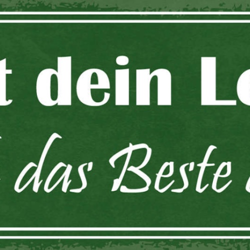 Schild Es Ist Dein Leben Mach Das Beste Draus Planung Traum 27x10 Blech od.Holz