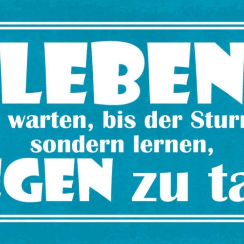 Schild Leben Heißt Nicht Zu Warten Sturm Vorbeizieht Lernen Im Regen Zu Tanzen
