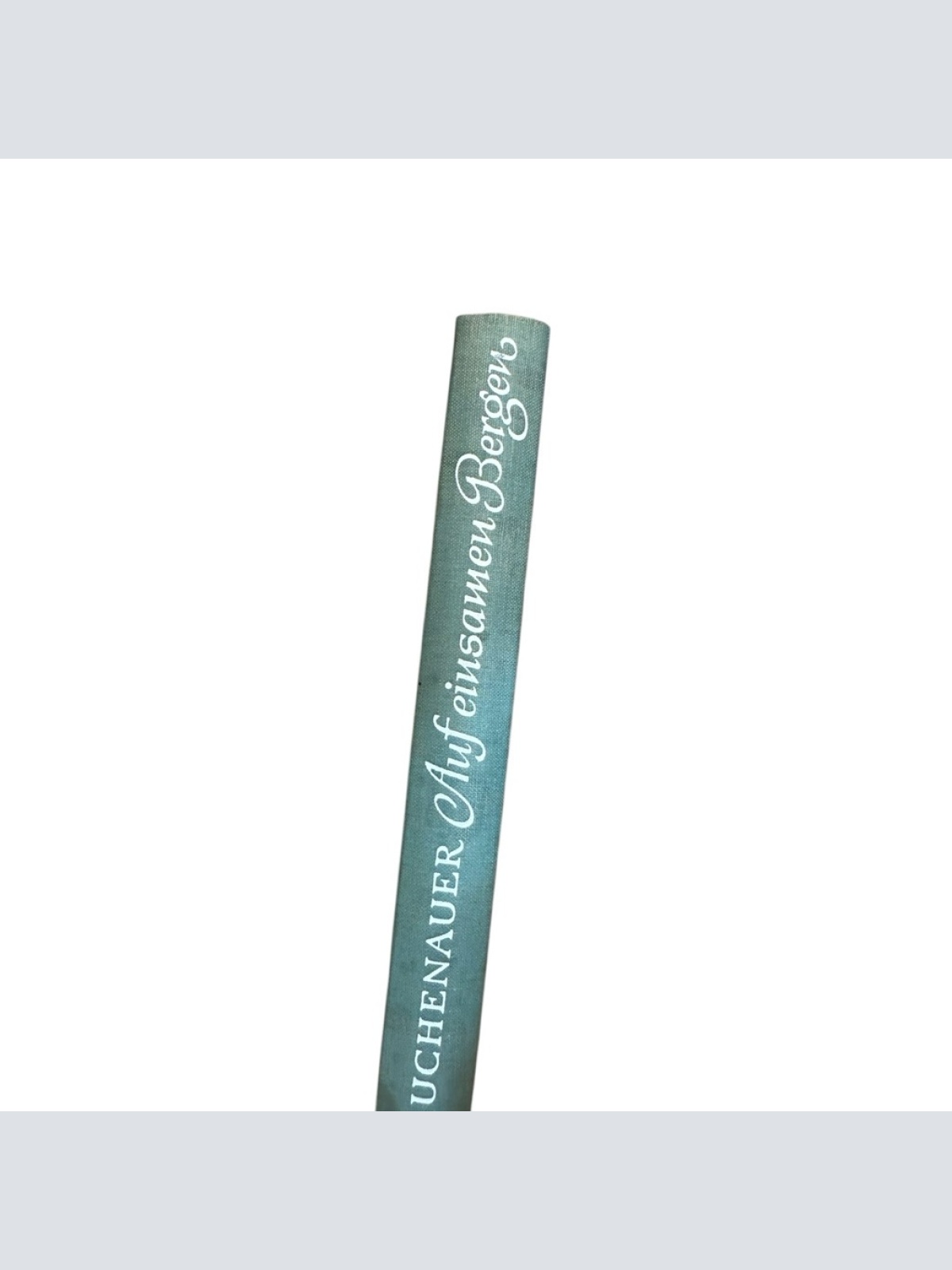 Auf einsamen Bergen Liselotte Buchenauer: