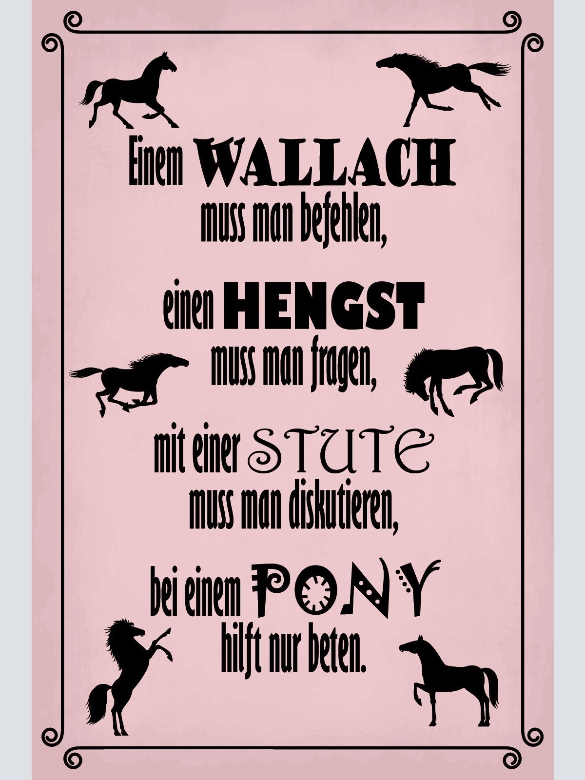 Schild Pferd Wallach Hengst Stute Pony 12x18 / 20x30 / 30x40 Blech od. Holz