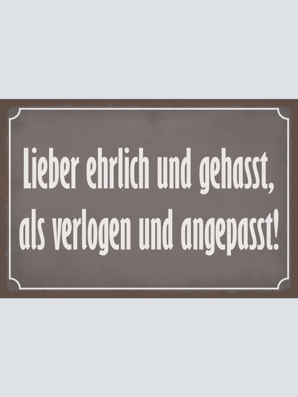 Schild Ehrlich Hass Verlogen Angepasst  12x18 / 20x30 / 30x40 Blech od. Holz