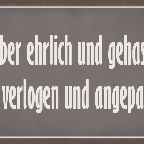 Schild Ehrlich Hass Verlogen Angepasst  12x18 / 20x30 / 30x40 Blech od. Holz