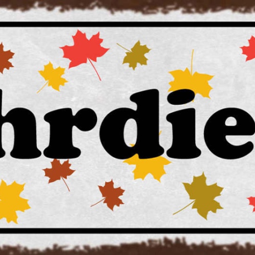 Schild Kehrdienst Kehren Besen Putzen Reinigen Aufräumen 27x10 Blech od.Holz