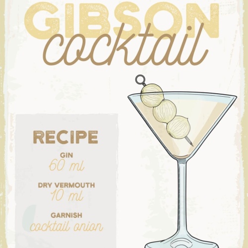 Schild Gibson Cocktail Rezept Bar Alkohol Drink 12x18 20x30 30x40 Blech/Holz