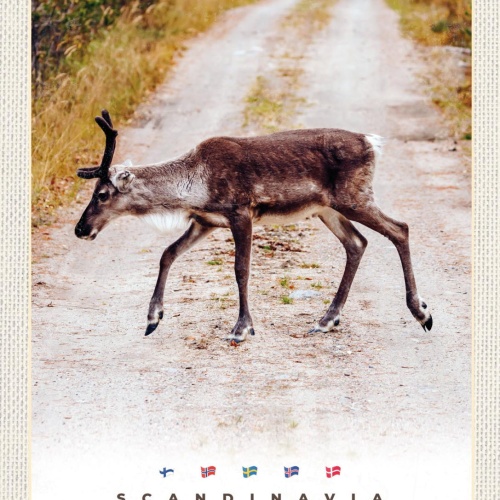 Schild Scandinavia Skandinavien Rentier Weg NOR 12x18 20x30 30x40 Blech/Holz