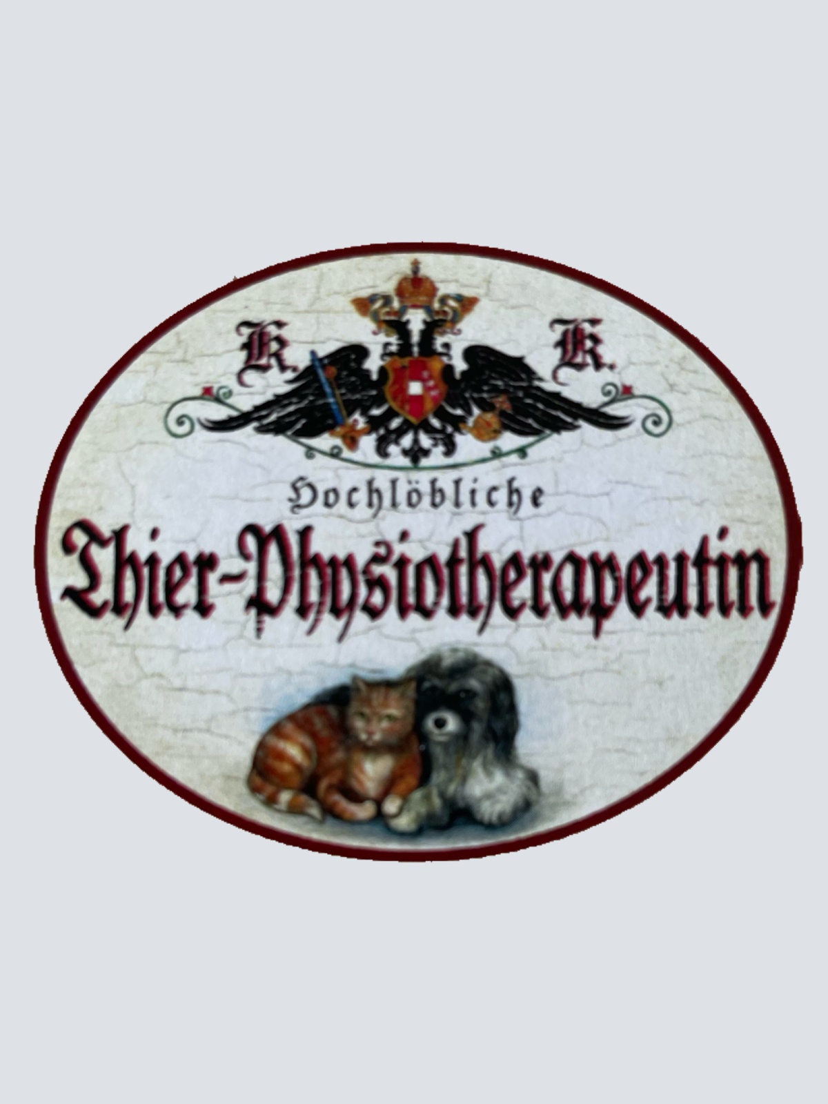 KuK Nostalgie Holzschild Hochlöbliche Thier Physiotherapeutin Tier Schild
