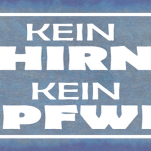 Schild Kein Hirn Kein Kopfweh Gehirn Denken Kopf Zerbrechen 27x10 Blech od.Holz