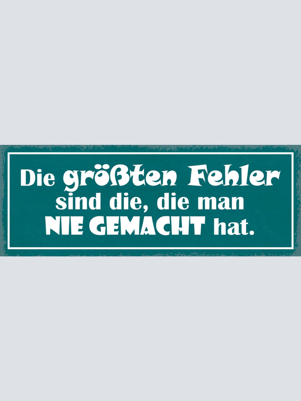 Schild Die Größten Fehler Sind Die Die Man Nie Gemacht Hat 27x10 Blech od.Holz