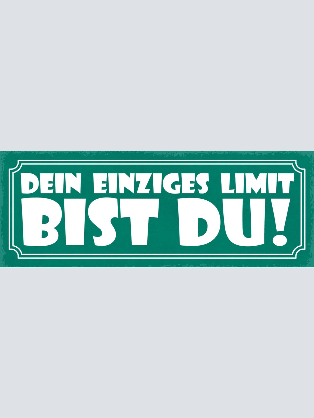 Schild Dein Einziges Limit Bist Du Leben Arbeit Sport 27x10 Blech od.Holz