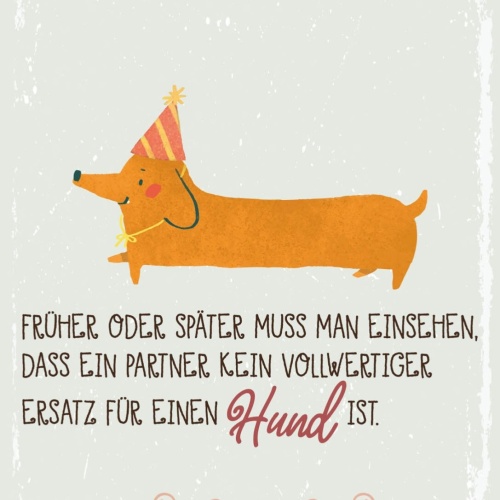 Schild Muss Einsehen Partner Kein Ersatz Für Hund 12x18 20x30 30x40 Blech/Holz