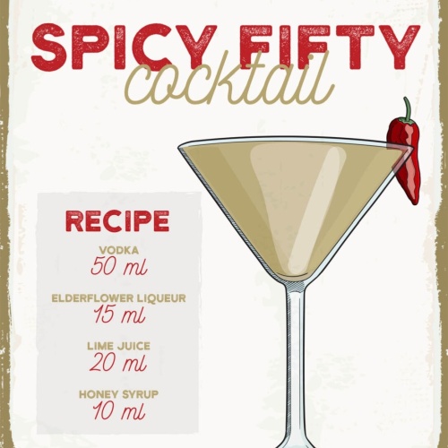 Schild Spicy Fifty Rezept Bar Alkohol Drink 12x18 20x30 30x40 Blech/Holz