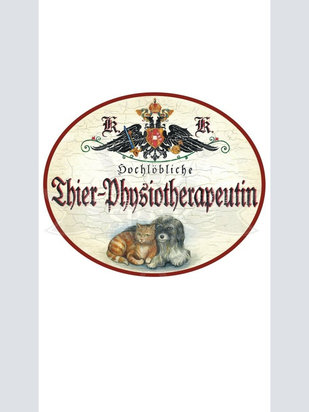 KuK Nostalgie Holzschild "Tier Physiotherapeutin"